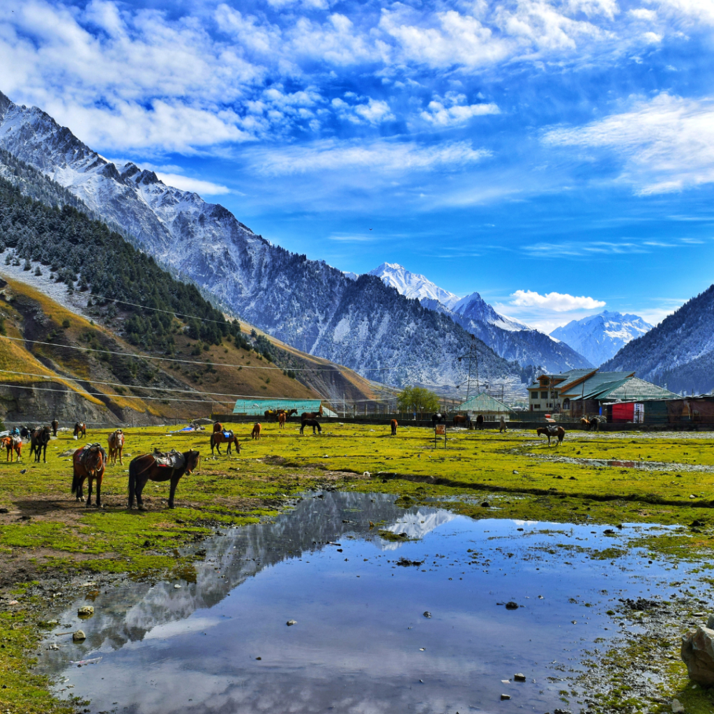 Top 10 Must-Visit Spots in Kashmir