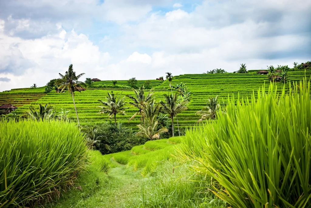 Bali Group Retreat