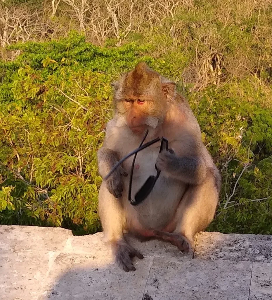 Bali Honeymoon Escape