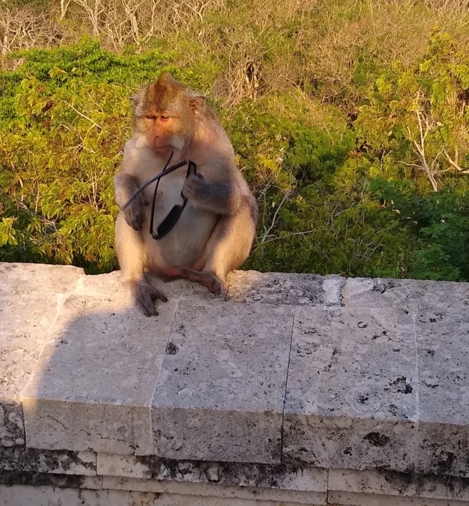 Ubud, Seminyak & Islands